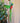 Beaded Quetzal Charm