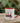 Red Worry Dolls Coffee Mug, 11oz