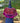 Maroon Chimaltenango Cape