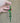 Large Beaded Quetzal Earrings