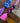 Miscellaneous from Live